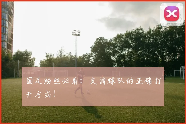 国足粉丝必看：支持球队的正确打开方式！