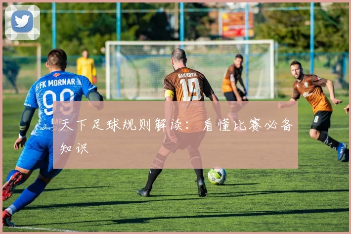 天下足球规则解读：看懂比赛必备知识